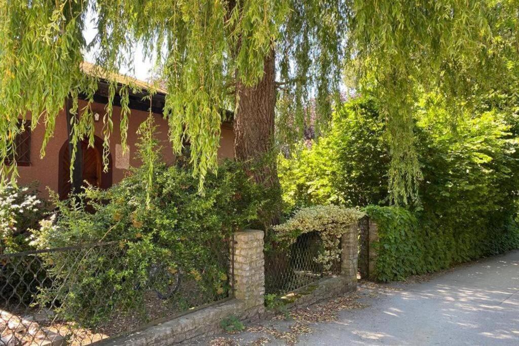 Hagenau Gartenwohnung 5 Min. Zur Stadt מראה חיצוני תמונה